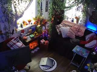 voyeurcam veccasalt 01