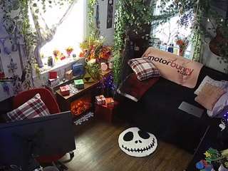 voyeurcam-veccasalt-01 chat