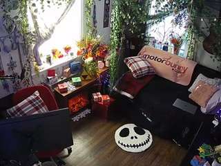 voyeurcam veccasalt 01