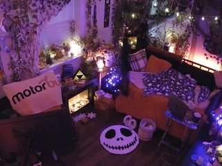 voyeurcam veccasalt 01