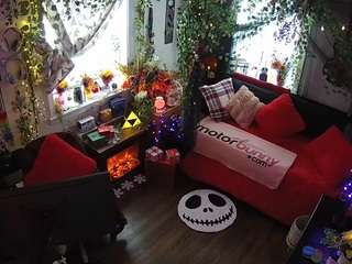 voyeurcam veccasalt 01