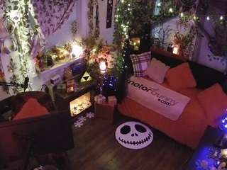 voyeurcam veccasalt 01