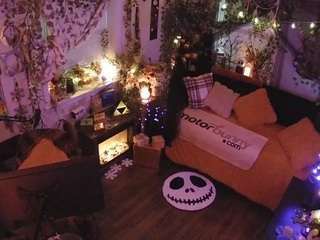 voyeurcam veccasalt 01