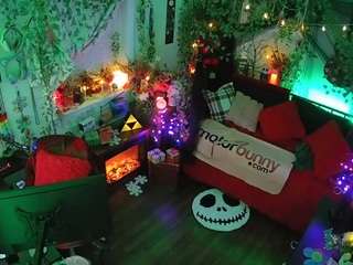 voyeurcam veccasalt 01