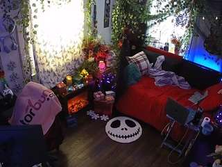 voyeurcam veccasalt 01