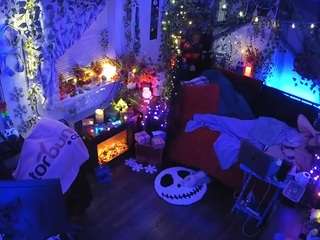 voyeurcam veccasalt 01