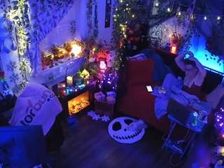 voyeurcam veccasalt 01