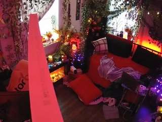 voyeurcam veccasalt 01