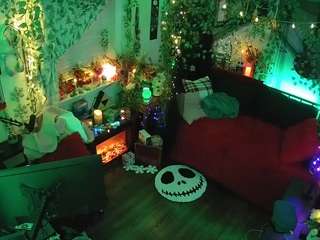 voyeurcam-veccasalt-... webcam