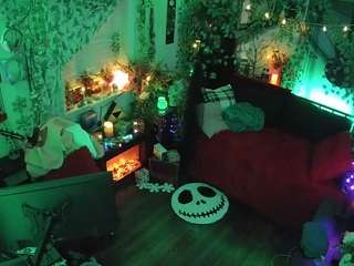 voyeurcam-veccasalt-... webcam