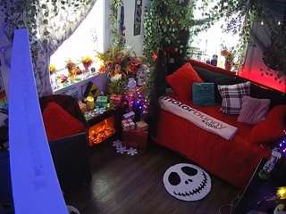 voyeurcam veccasalt 01