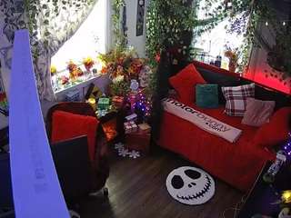 voyeurcam veccasalt 01