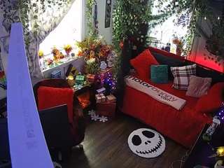 voyeurcam veccasalt 01