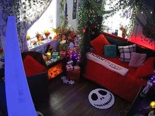 voyeurcam veccasalt 01