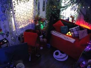 voyeurcam veccasalt 01