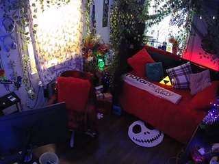 voyeurcam veccasalt 01