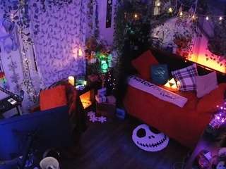 voyeurcam-veccasalt-01