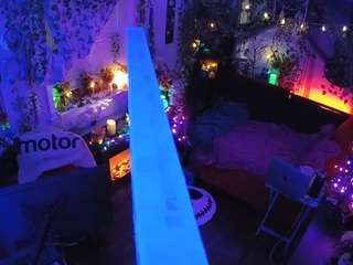 voyeurcam veccasalt 01