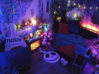 voyeurcam-veccasalt-01