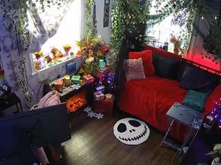 voyeurcam veccasalt 01