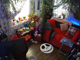 voyeurcam veccasalt 01