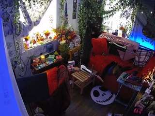 voyeurcam veccasalt 01