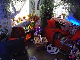 voyeurcam veccasalt 01