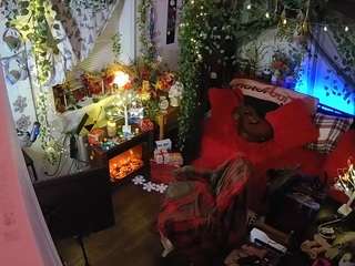 voyeurcam veccasalt 01