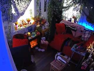 voyeurcam veccasalt 01