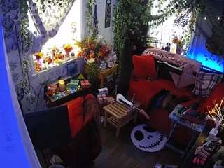 voyeurcam veccasalt 01