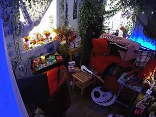 voyeurcam veccasalt 01