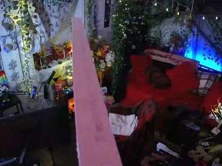 voyeurcam veccasalt 01