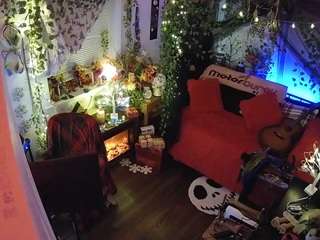 voyeurcam veccasalt 01