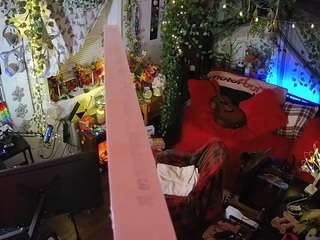 voyeurcam veccasalt 01