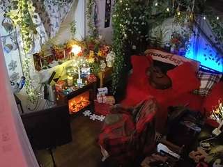 voyeurcam veccasalt 01