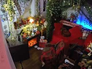 voyeurcam veccasalt 01