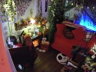 voyeurcam veccasalt 01