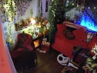 voyeurcam veccasalt 01