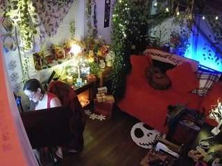 voyeurcam veccasalt 01