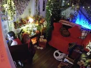 voyeurcam veccasalt 01