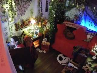 voyeurcam veccasalt 01