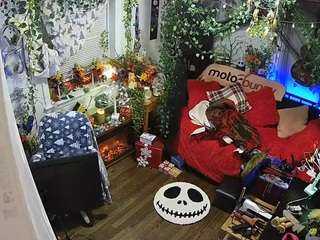 voyeurcam veccasalt 01