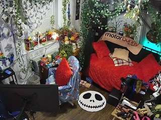 voyeurcam veccasalt 01