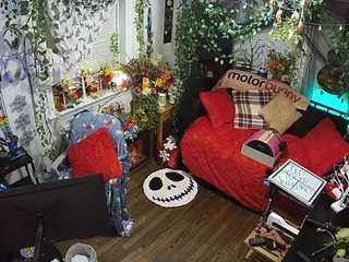 voyeurcam veccasalt 01