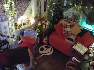 voyeurcam veccasalt 01