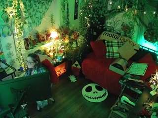 voyeurcam veccasalt 01