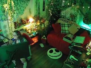 voyeurcam veccasalt 01