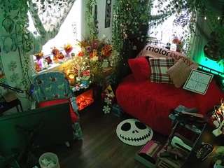 voyeurcam veccasalt 01