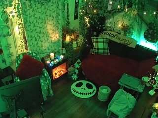 voyeurcam veccasalt 01