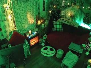 voyeurcam veccasalt 01